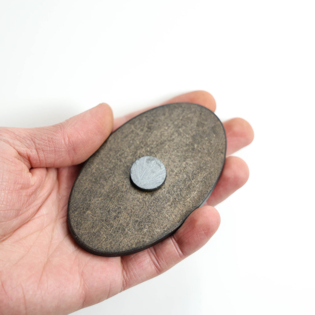 მაცივრის მაგნიტი: რომაული ფარი